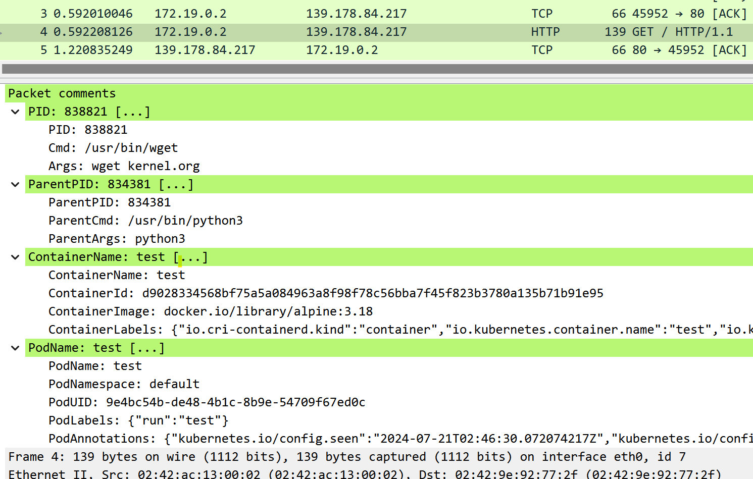 Wireshark Screenshot
